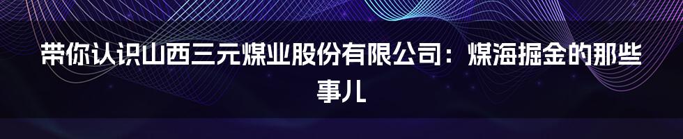 带你认识山西三元煤业股份有限公司：煤海掘金的那些事儿