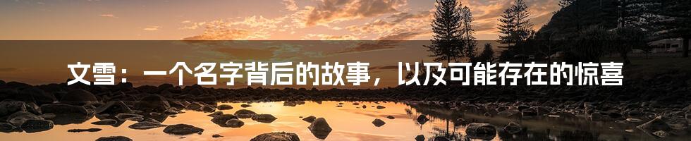 文雪:一个名字背后的故事,以及可能存在的惊喜