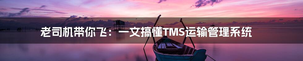 老司机带你飞:一文搞懂TMS运输管理系统