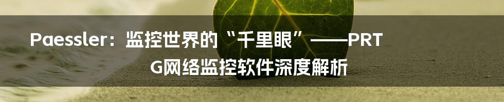 Paessler:监控世界的“千里眼”——PRTG网络监控软件深度解析