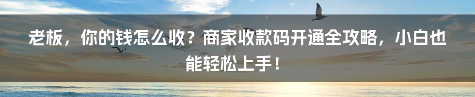 老板,你的钱怎么收?商家收款码开通全攻略,小白也能轻松上手!