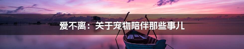 爱不离：关于宠物陪伴那些事儿