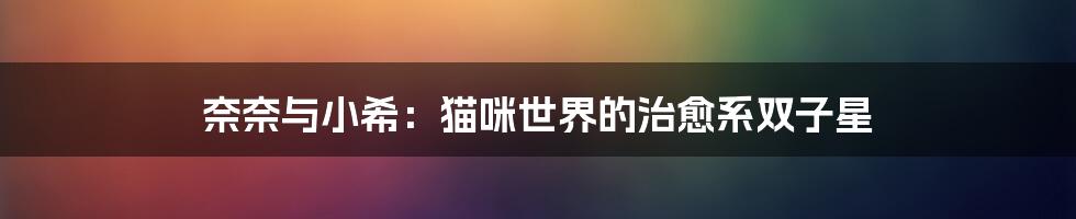 奈奈与小希:猫咪世界的治愈系双子星