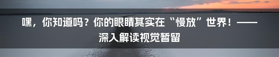 嘿,你知道吗?你的眼睛其实在“慢放”世界!—— 深入解读视觉暂留