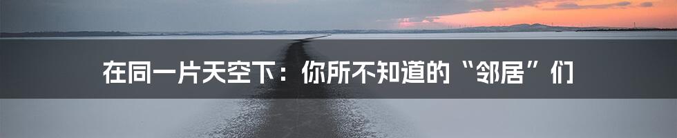 在同一片天空下:你所不知道的“邻居”们