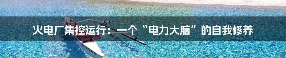 火电厂集控运行:一个“电力大脑”的自我修养