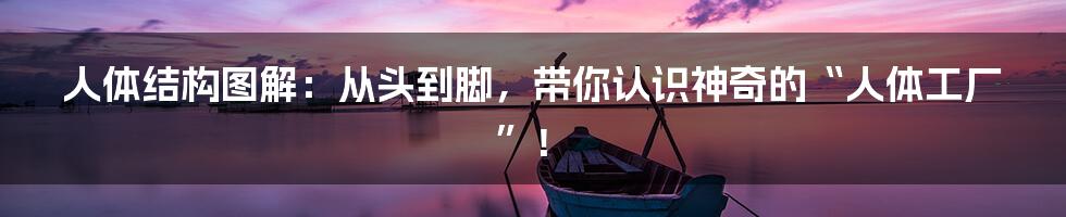 人体结构图解：从头到脚，带你认识神奇的“人体工厂”！