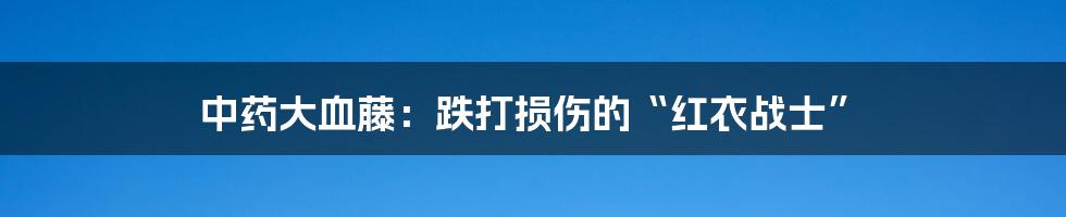 中药大血藤:跌打损伤的“红衣战士”