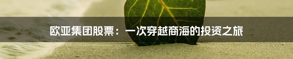 欧亚集团股票：一次穿越商海的投资之旅