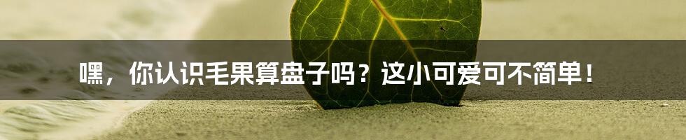 嘿,你认识毛果算盘子吗?这小可爱可不简单!