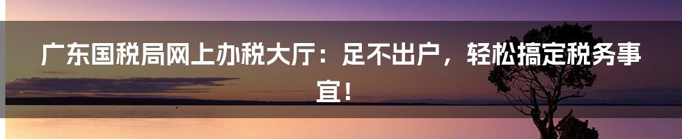 广东国税局网上办税大厅:足不出户,轻松搞定税务事宜!