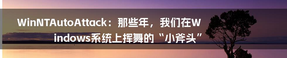 WinNTAutoAttack:那些年,我们在Windows系统上挥舞的“小斧头”