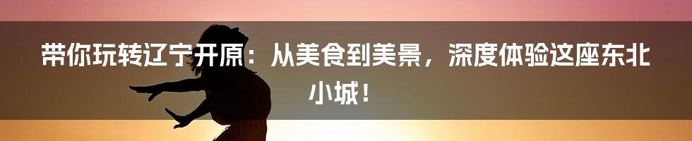 带你玩转辽宁开原:从美食到美景,深度体验这座东北小城!