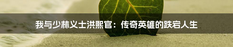 我与少林义士洪熙官:传奇英雄的跌宕人生
