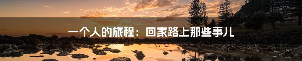 一个人的旅程:回家路上那些事儿