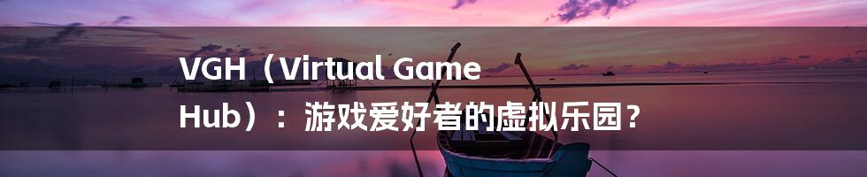 VGH（Virtual Game Hub）：游戏爱好者的虚拟乐园？