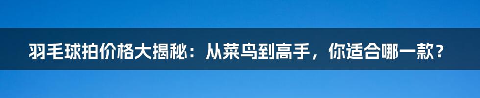羽毛球拍价格大揭秘：从菜鸟到高手，你适合哪一款？