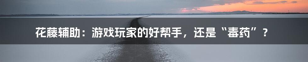 花藤辅助:游戏玩家的好帮手,还是“毒药”?