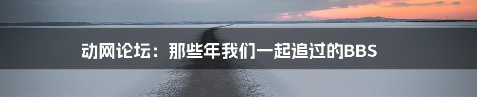 动网论坛:那些年我们一起追过的BBS