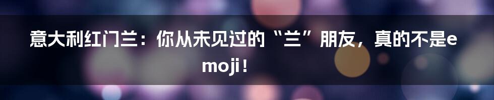 意大利红门兰:你从未见过的“兰”朋友,真的不是emoji!