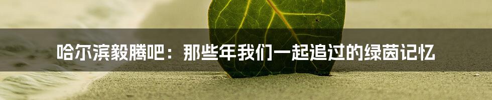 哈尔滨毅腾吧:那些年我们一起追过的绿茵记忆
