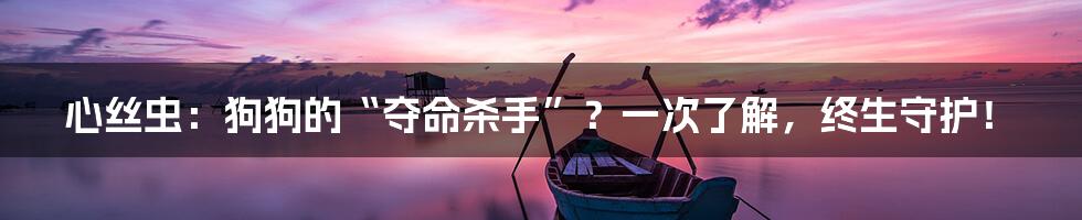 心丝虫:狗狗的“夺命杀手”?一次了解,终生守护!