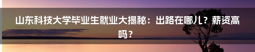 山东科技大学毕业生就业大揭秘:出路在哪儿?薪资高吗?