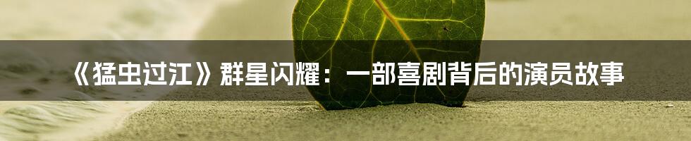 《猛虫过江》群星闪耀：一部喜剧背后的演员故事