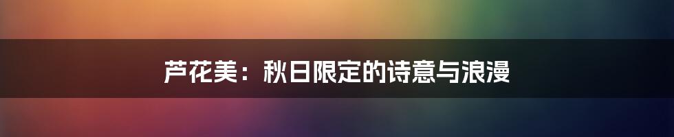 芦花美:秋日限定的诗意与浪漫