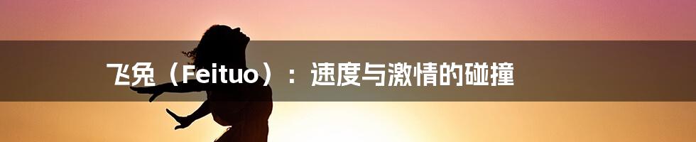 飞兔(Feituo):速度与激情的碰撞