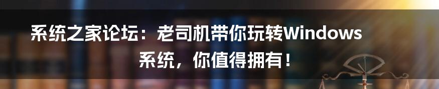 系统之家论坛:老司机带你玩转Windows系统,你值得拥有!