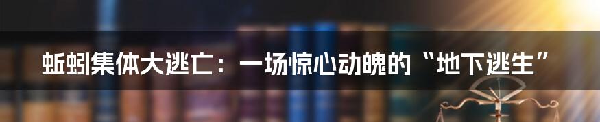 蚯蚓集体大逃亡:一场惊心动魄的“地下逃生”