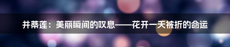并蒂莲：美丽瞬间的叹息——花开一天被折的命运