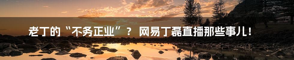 老丁的“不务正业”？ 网易丁磊直播那些事儿！