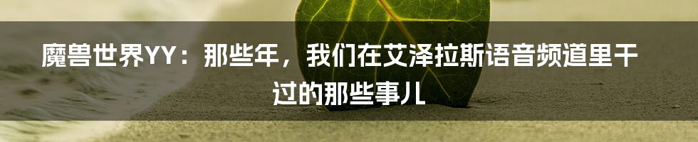魔兽世界YY:那些年,我们在艾泽拉斯语音频道里干过的那些事儿