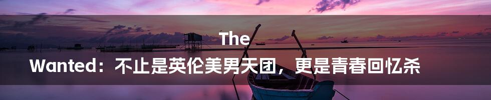 The Wanted:不止是英伦美男天团,更是青春回忆杀