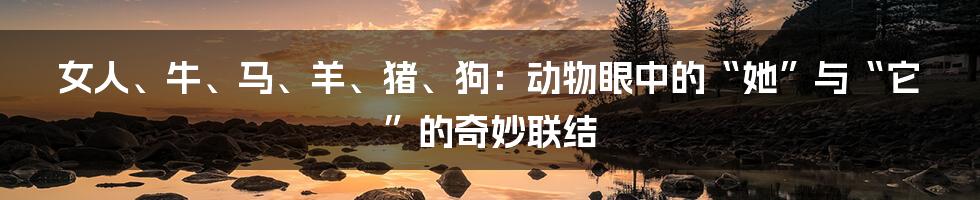 女人、牛、马、羊、猪、狗:动物眼中的“她”与“它”的奇妙联结