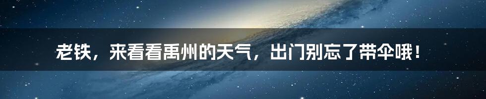 老铁，来看看禹州的天气，出门别忘了带伞哦！