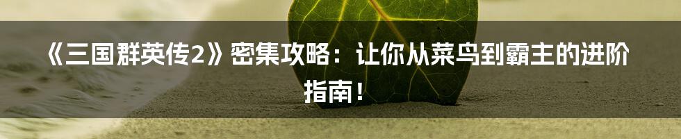 《三国群英传2》密集攻略:让你从菜鸟到霸主的进阶指南!