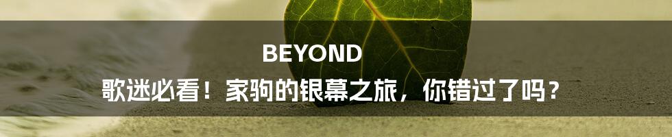 BEYOND 歌迷必看!家驹的银幕之旅,你错过了吗?