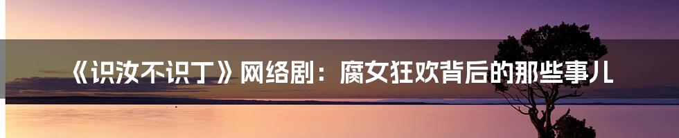 《识汝不识丁》网络剧:腐女狂欢背后的那些事儿