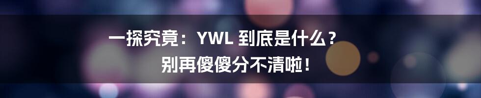 一探究竟:YWL 到底是什么? 别再傻傻分不清啦!