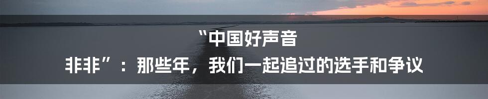 “中国好声音 非非”:那些年,我们一起追过的选手和争议