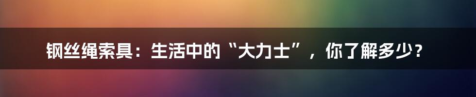 钢丝绳索具:生活中的“大力士”,你了解多少?