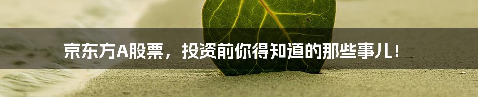 京东方A股票，投资前你得知道的那些事儿！