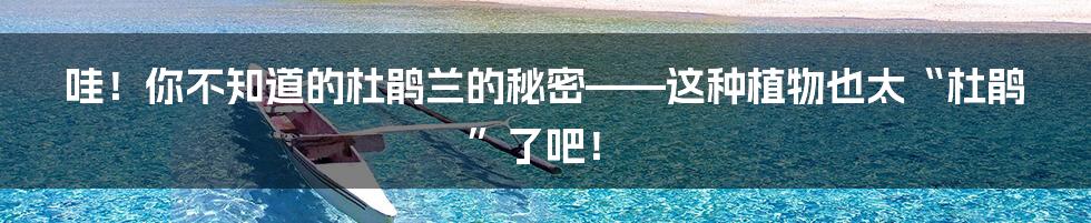 哇!你不知道的杜鹃兰的秘密——这种植物也太“杜鹃”了吧!