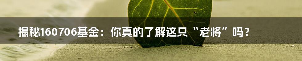 揭秘160706基金：你真的了解这只“老将”吗？