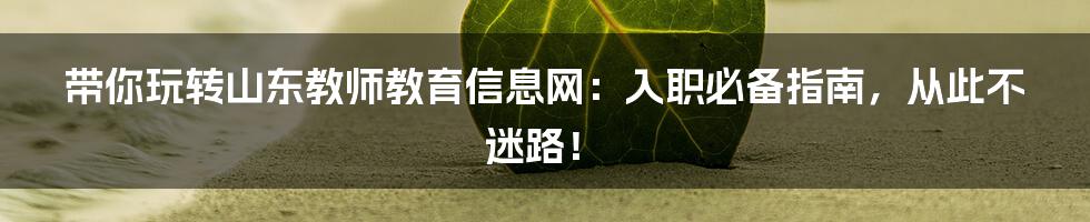 带你玩转山东教师教育信息网：入职必备指南，从此不迷路！