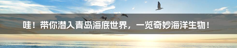 哇!带你潜入青岛海底世界,一览奇妙海洋生物!