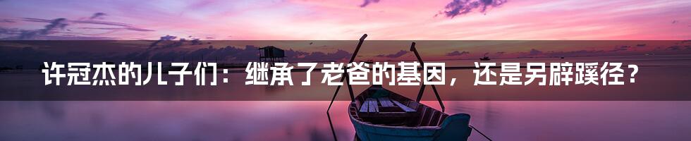 许冠杰的儿子们:继承了老爸的基因,还是另辟蹊径?